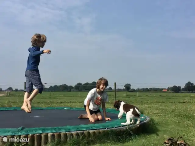 Vakantie voor je hond!
